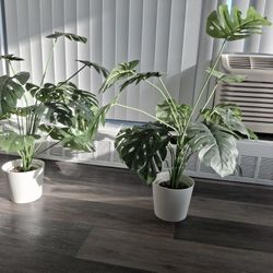 Artificial Plants With IKEA White pots