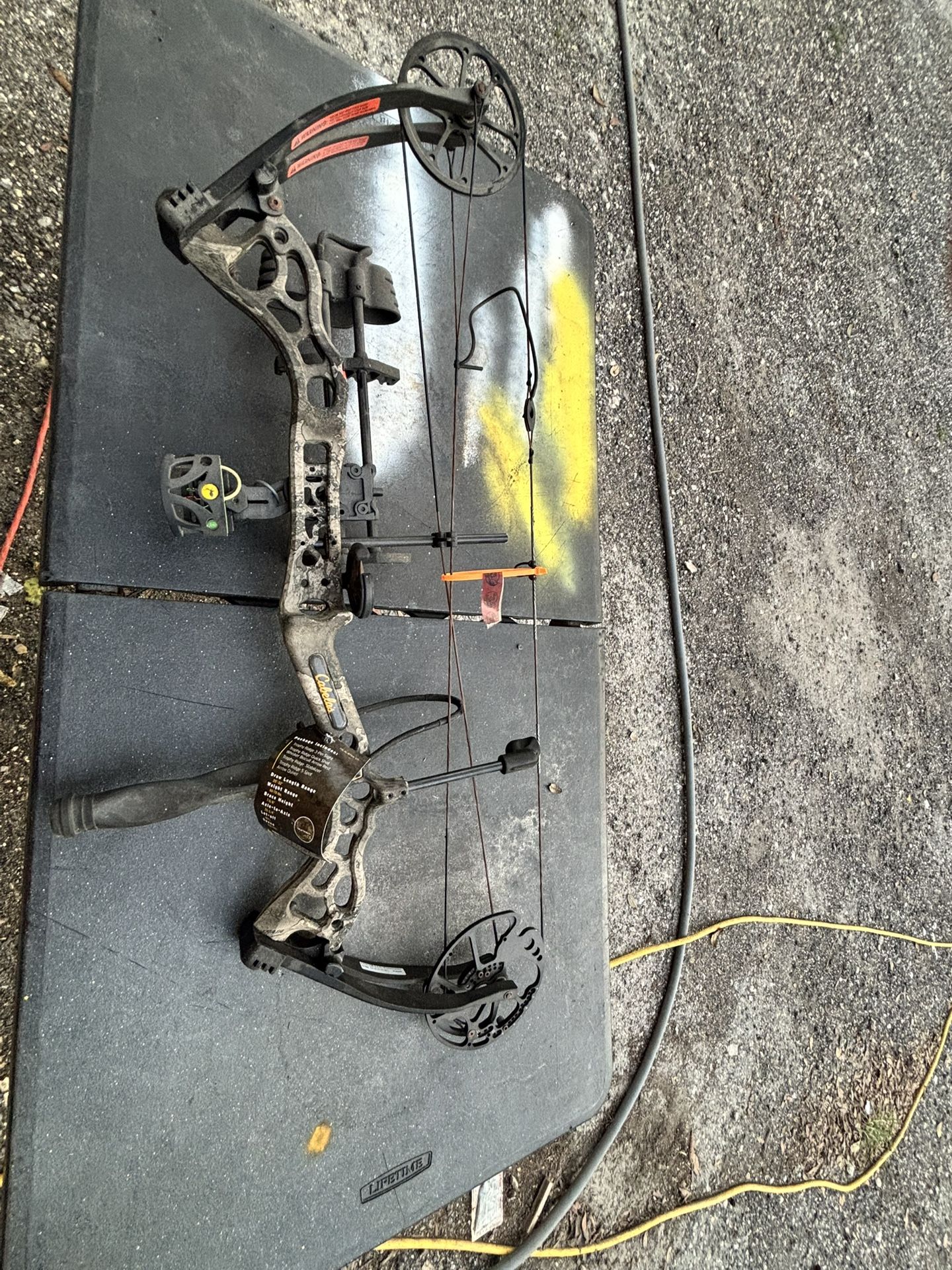 Cabelas bow