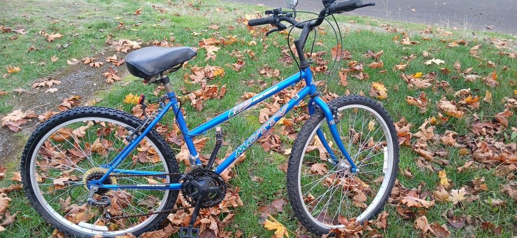 Motive 18 Speed Bike