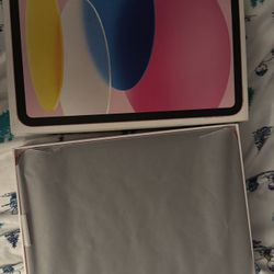 iPad 10 Gen 10.9 (2022) Pink