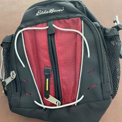 Eddie Bauer Waist Hiking Belt Bag