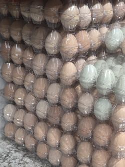 Egg