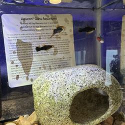 Aquarium Rock