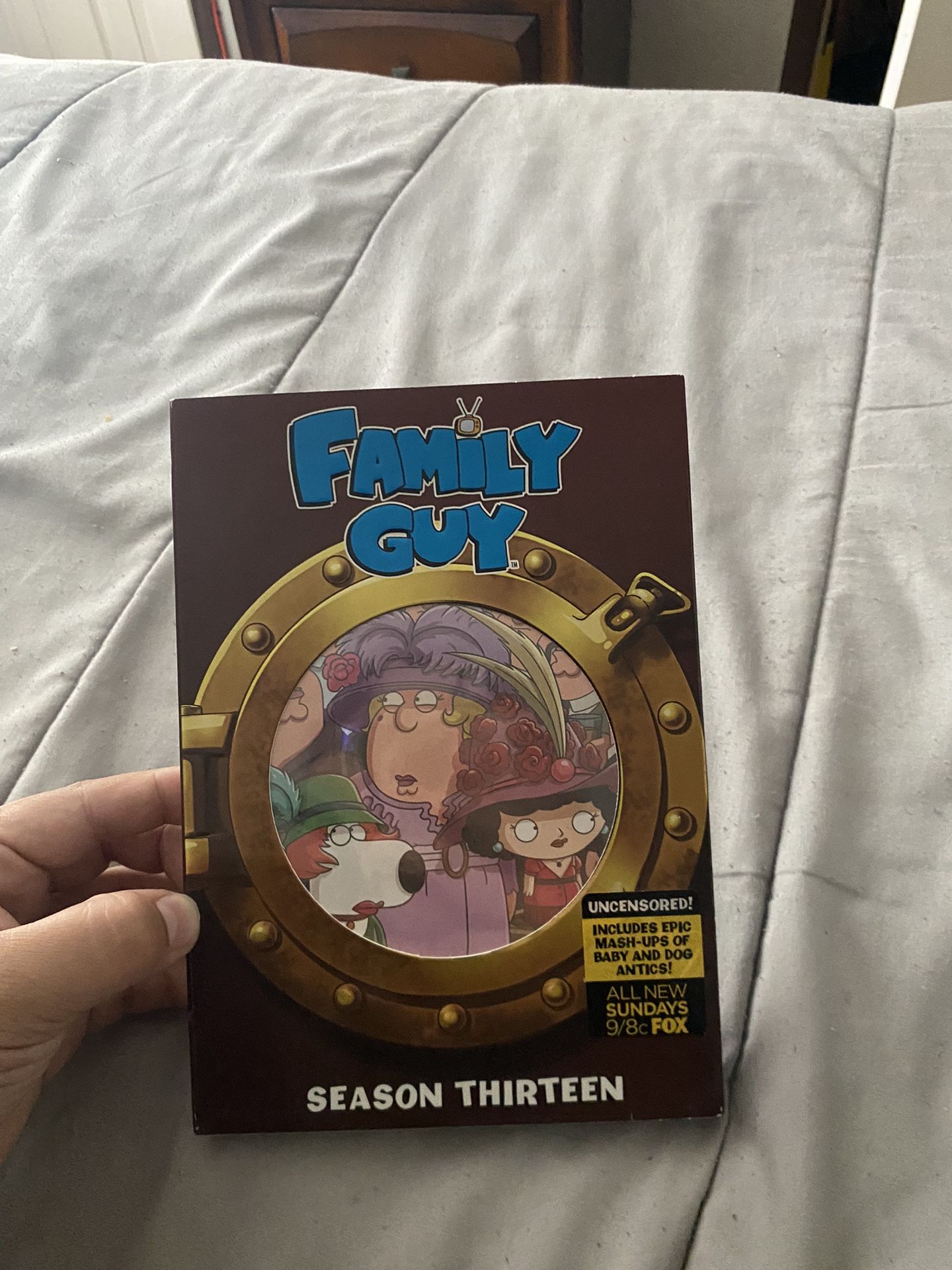 Family Guy Season 13