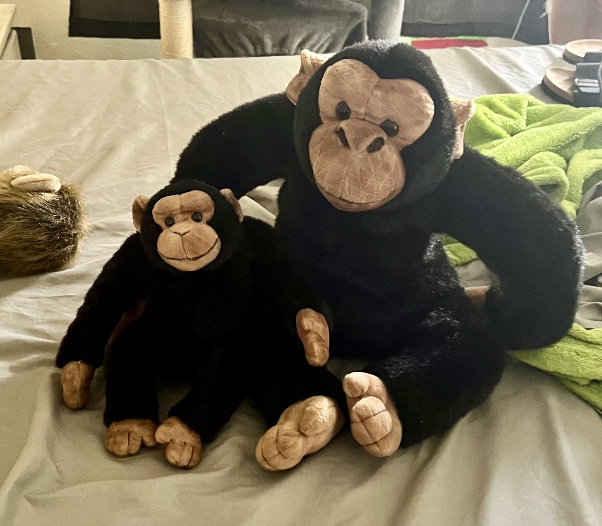 Pier One Stuffed monkeys!