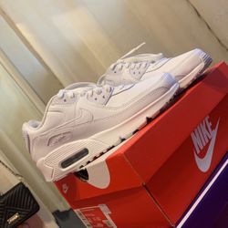 Nike air max 90