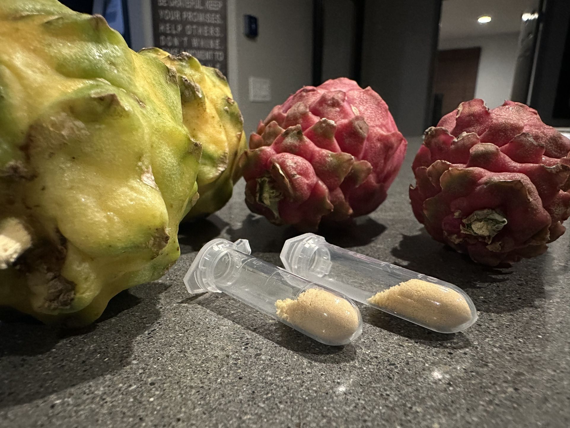 Dragon Fruit Pollen 1 .25 ML (cross Pollinate Your DF Flowers)