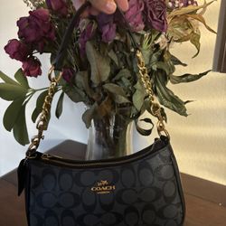 Brand new Teri Black Coach Bag 