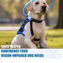 Blind Dog Halo Harness, Protective Halo Dog Collar for Blind Dogs, Confidence Building Harness Guiding Device, Blind Dog Accessories, M
