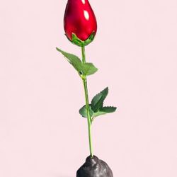 Rose ring holder