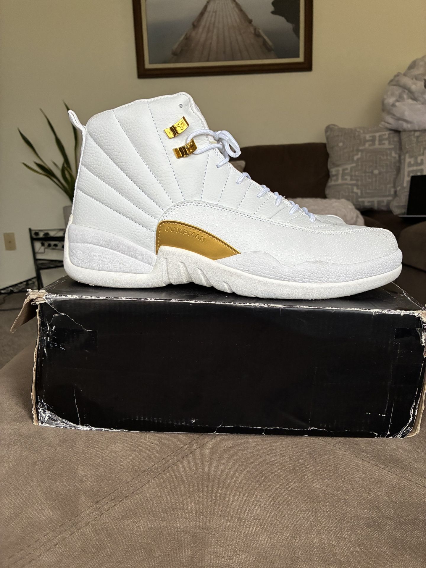 Air Jordan 12’s - OVO