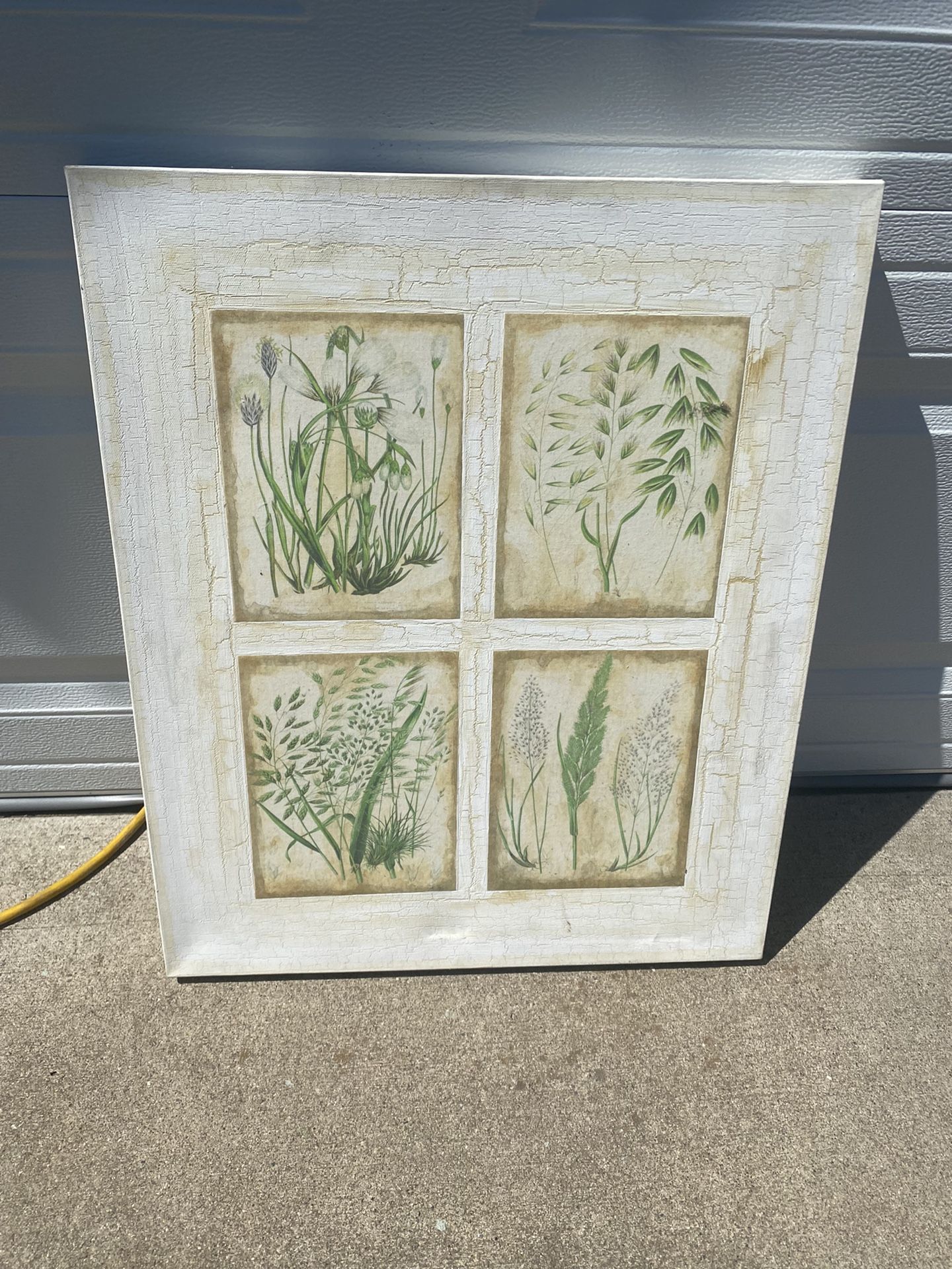 Garden Canvas Print