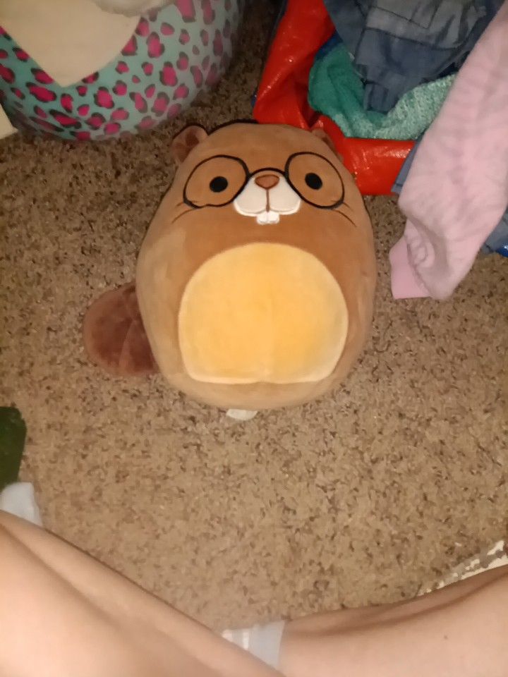 Beaver Squishmellow 