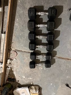 Gym equipment, squat rack, bench, weights.