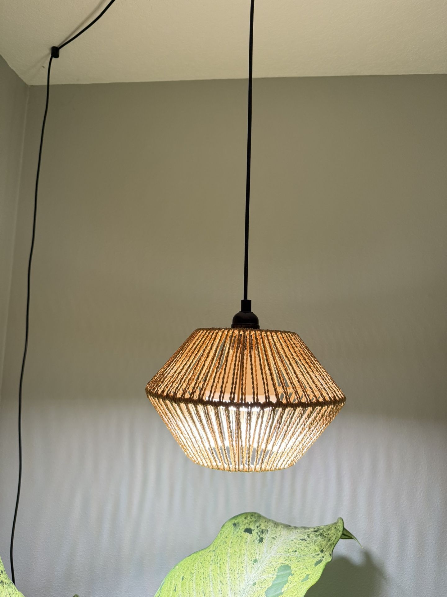 Plug In Pendant Light For Grow Light