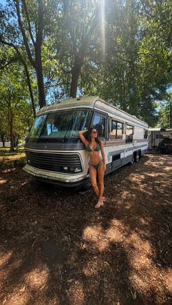 1988 holiday rambler