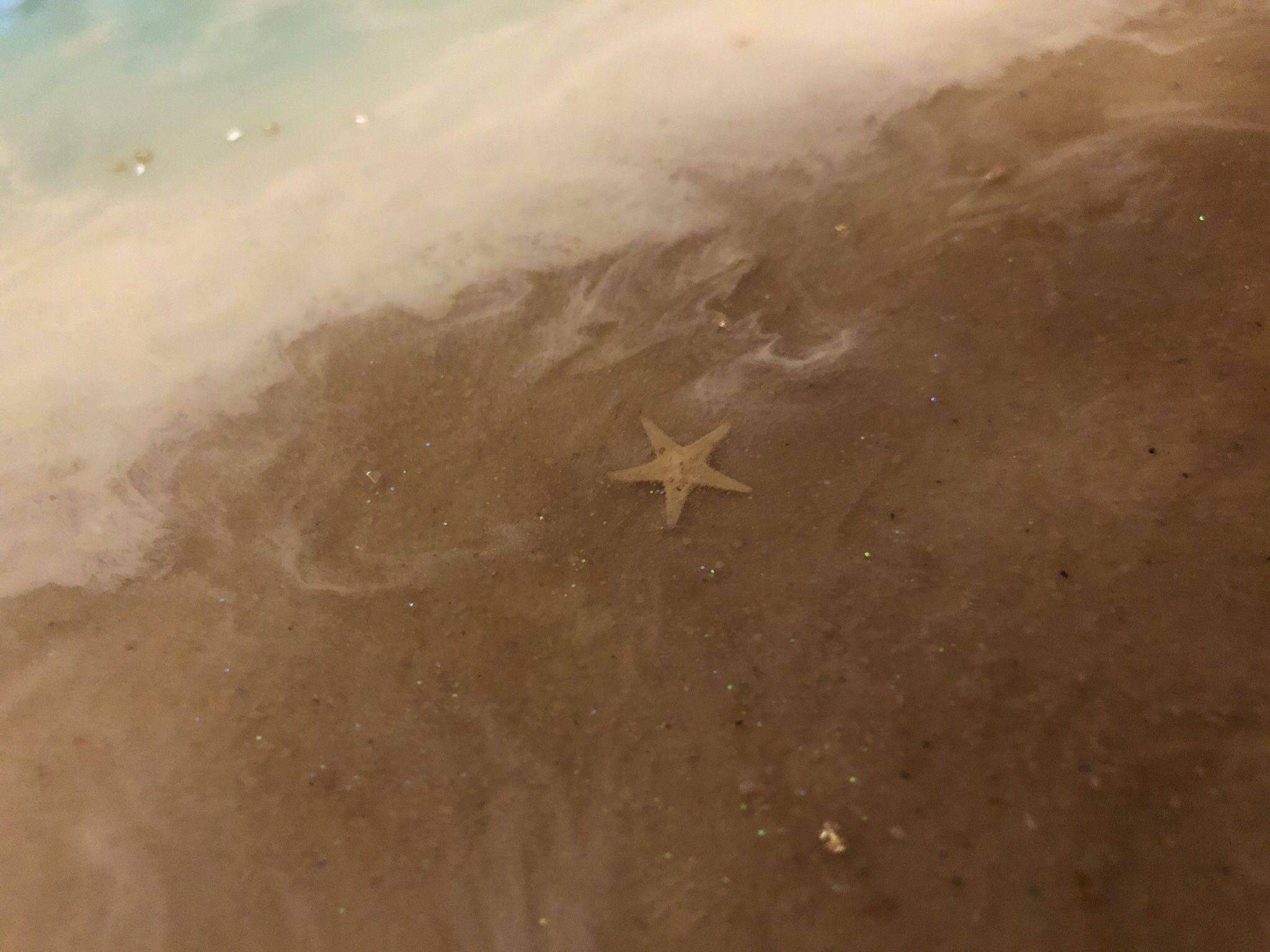 Beach Resin Coffee Table With Glass Cover