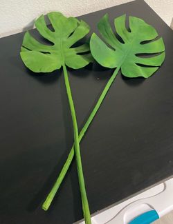 Palm leaves decor