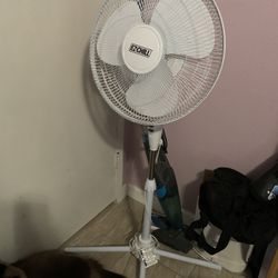 Fan