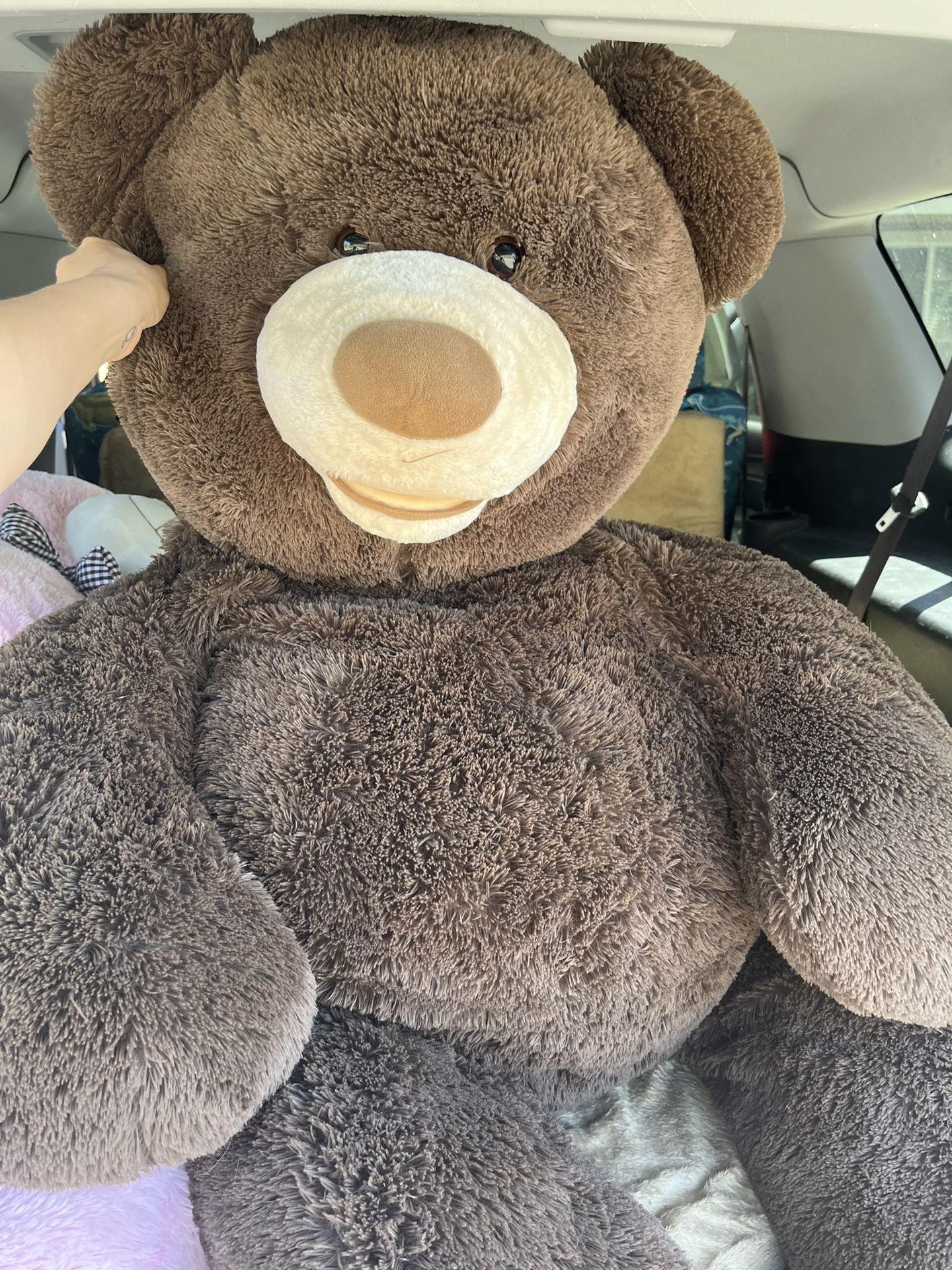 Giant Teddy Bear!