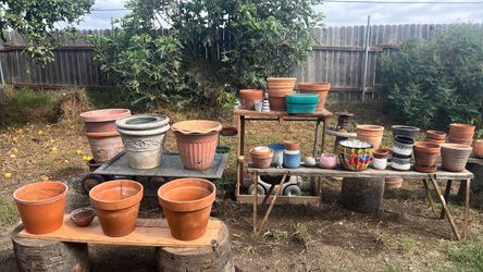 Clay pots