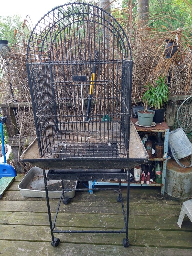 Bird Cage