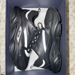 Dior B22s all black