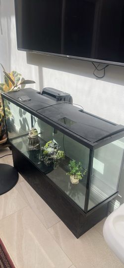 Aquarium