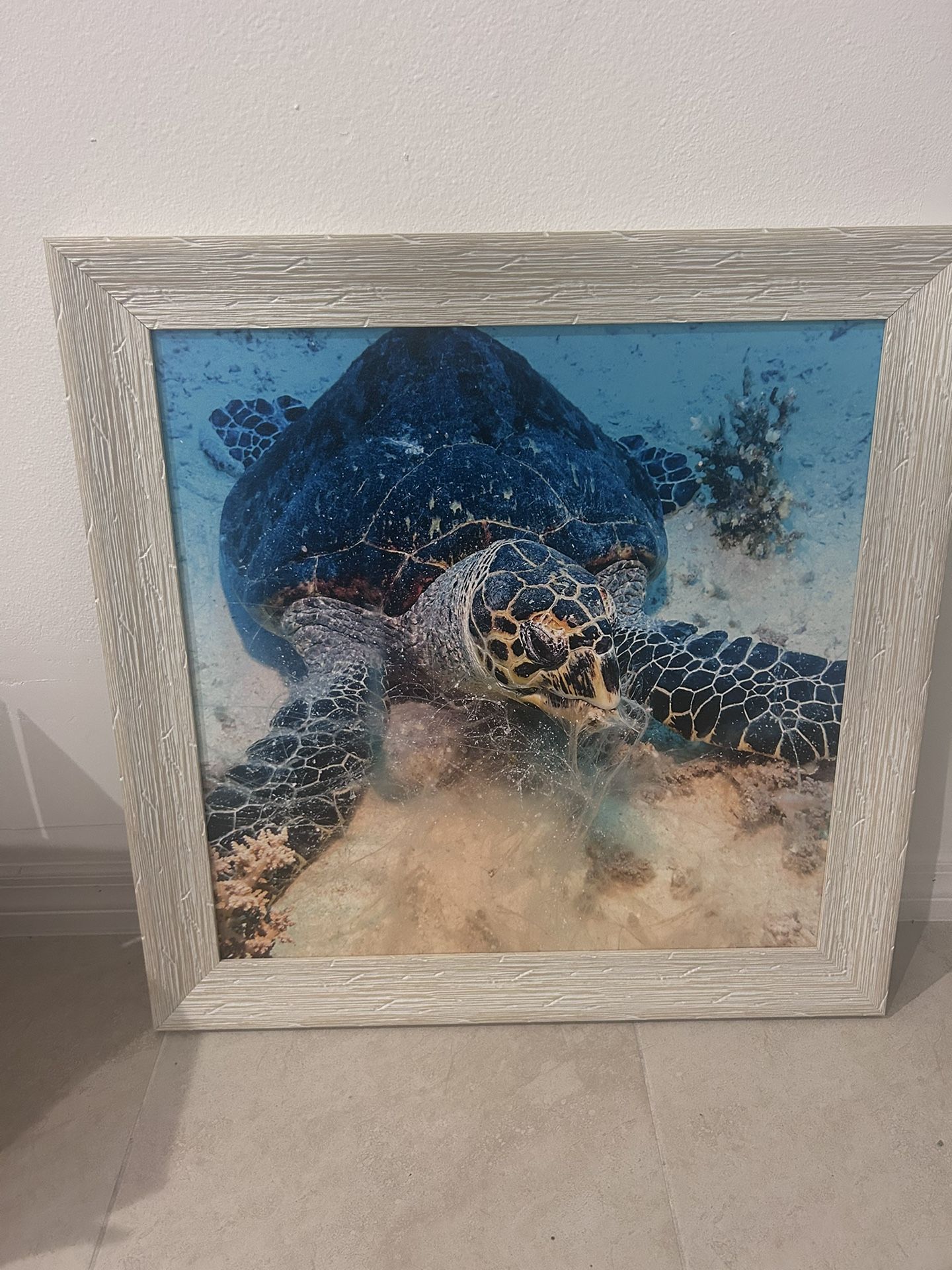 Turtle Artwork