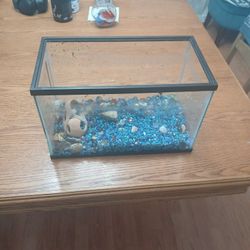 Fish Tank 