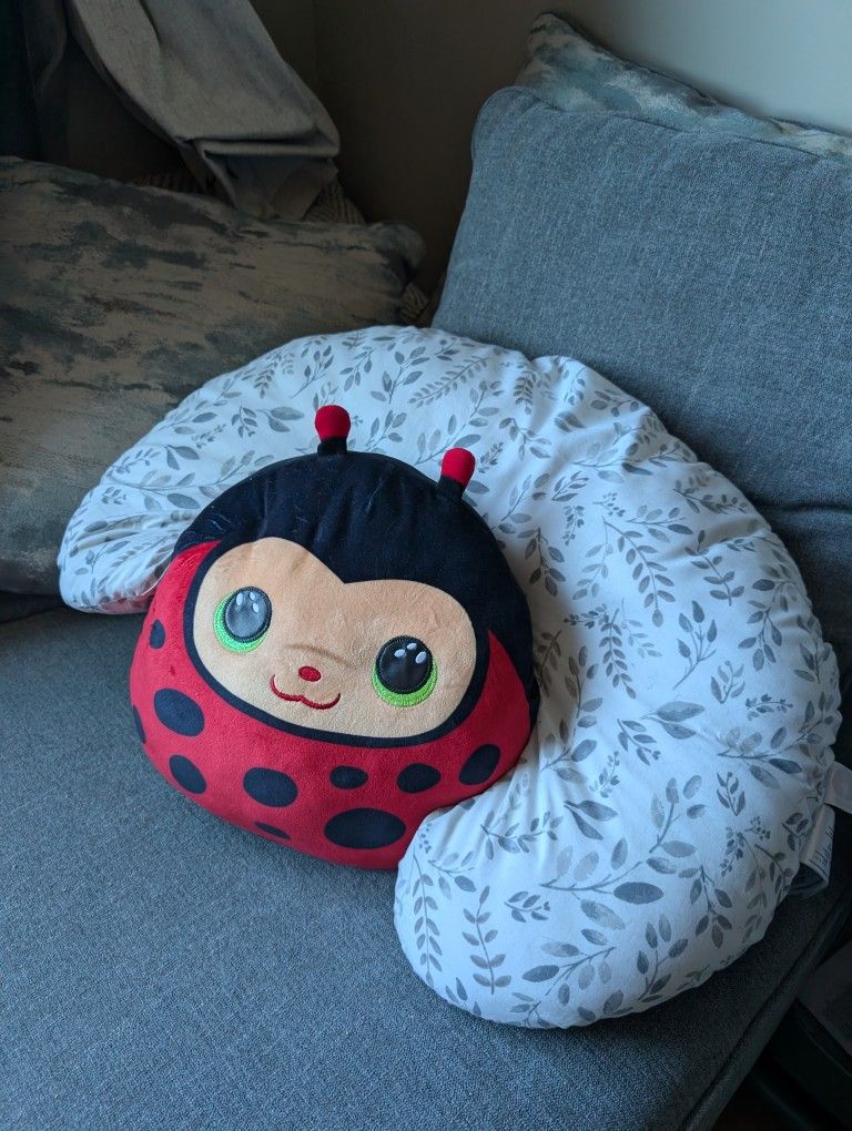 Free Boppy Pillow & Ladybug Stuffy