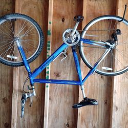 Denali Mountain Bike