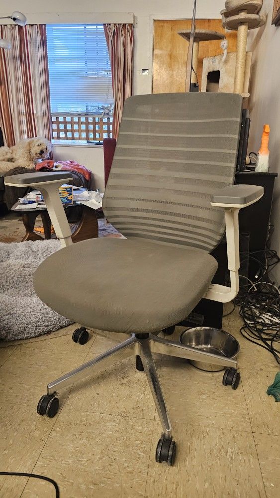 Branch Ergonomic Chair