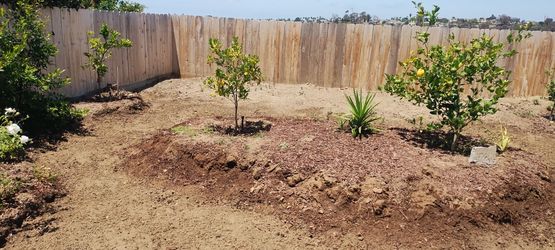 Free top soil
