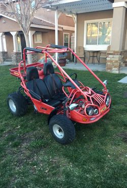 Talon 150 go sales kart