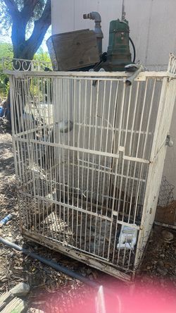 Una jaula para Cotorro, perico, gallina o para lo que quieran