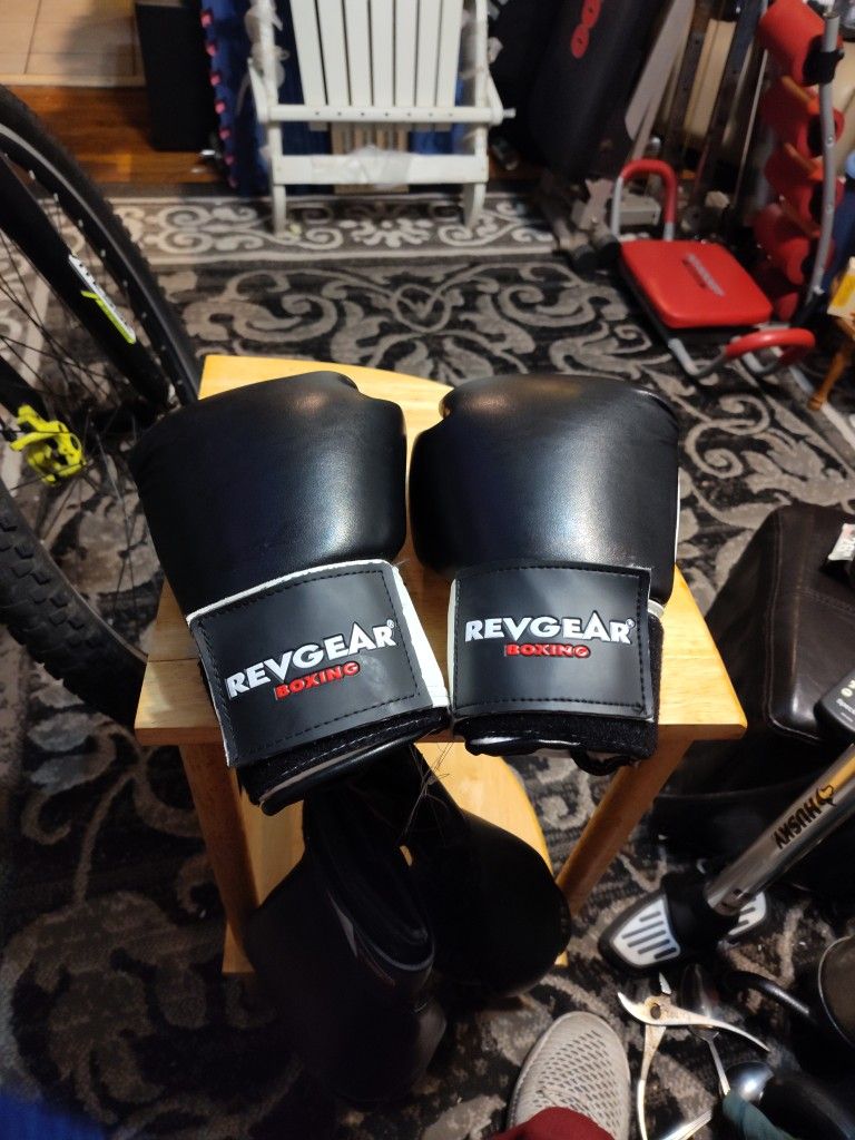 Revgear Boxing Gloves.