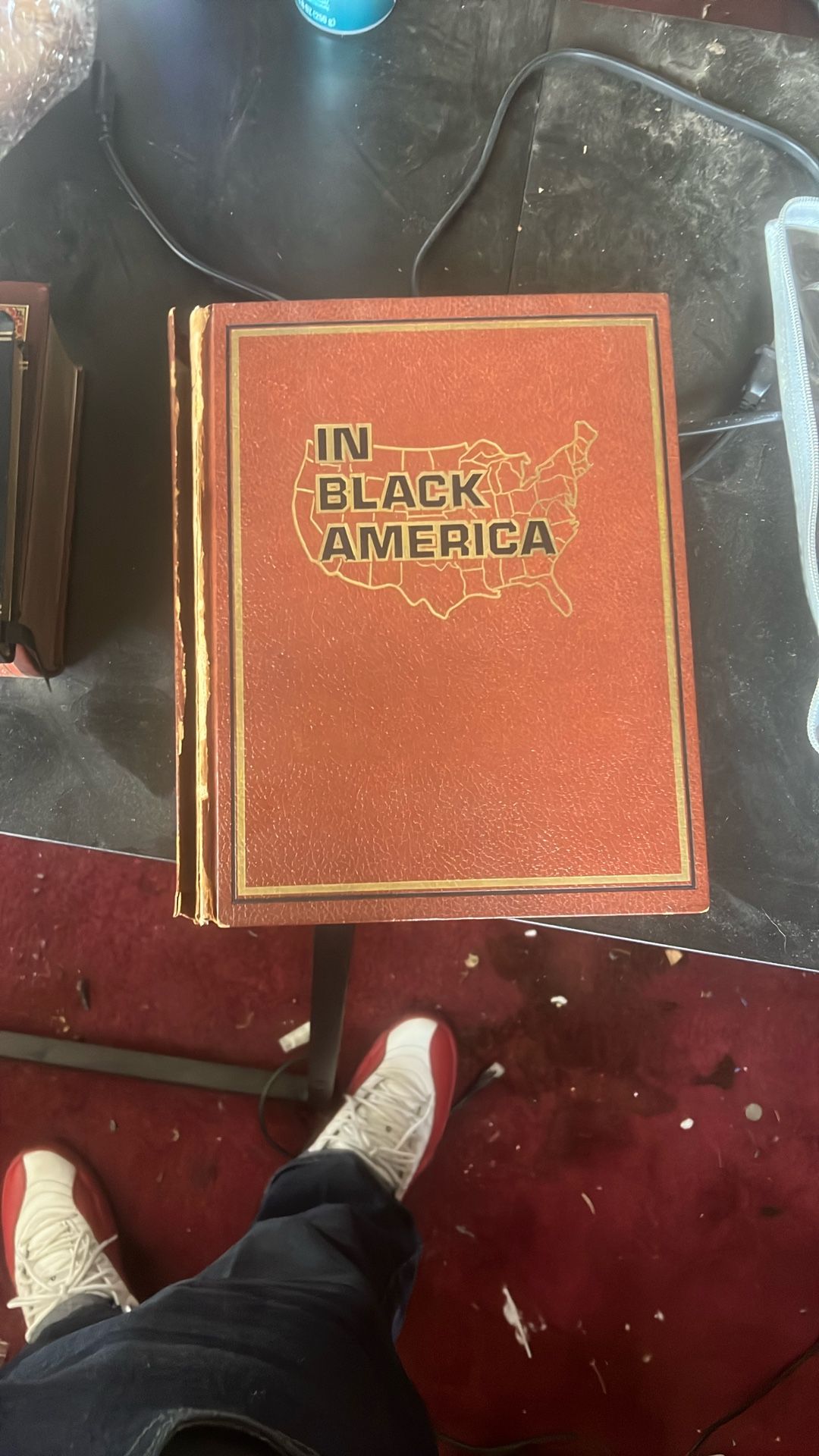 In Black America Book