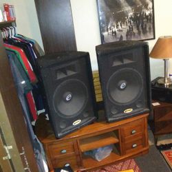 15 inch speakers.   handled boxes