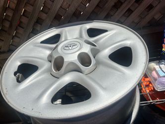 Tundra rims free