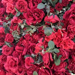 Red Roses Backdrop