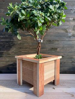 Miniature Cedar Planter