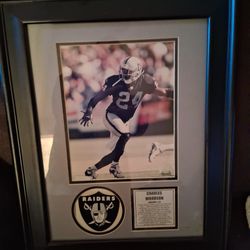 FRAME $20 PICK UP IN SUN VALLEY 