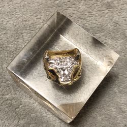 Bull ring for sale sale