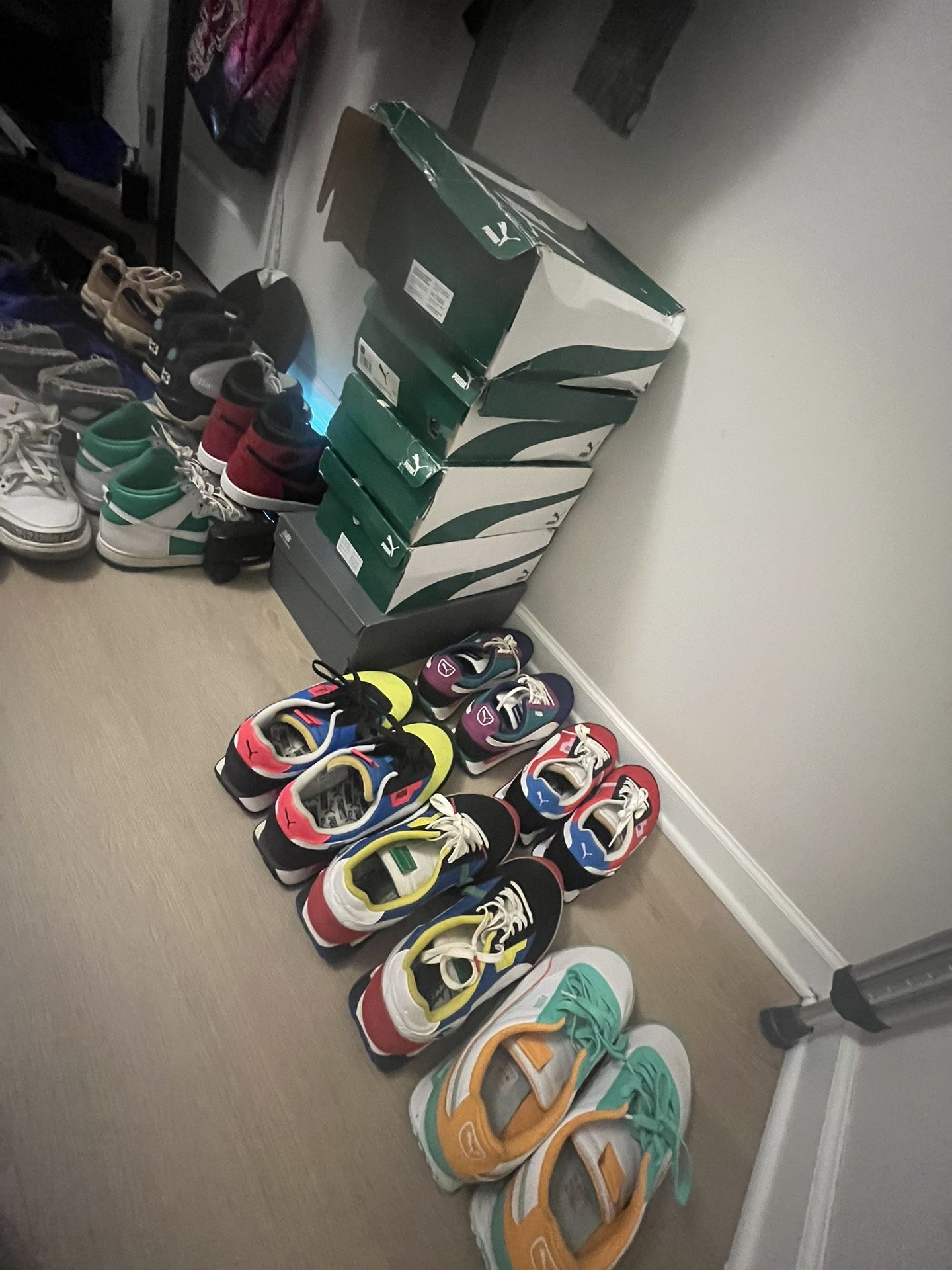 Pumas