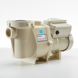 Pentair VSF Model 011056 Swimming Pool/ Spa Pump 