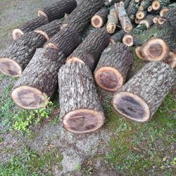 Free Fire Wood