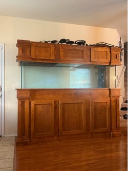 Salt water fish tank