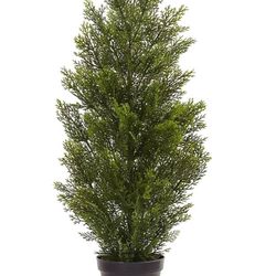 Nearly Natural 3ft. Mini Cedar Pine Tree (Indoor/Outdoor)  Nearly Natural https://offerup.com/redirect/?o=aHR0cHM6Ly93d3cubmVhcmx5bmF0dXJhbC5jb20=  
