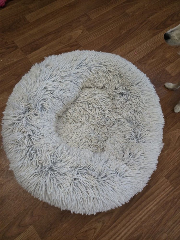 Pet Bed